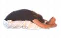 Paschimothan Asana